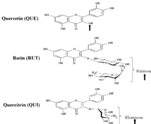 Fig. 1. Chemical structures of quercetin (QUE), quercitrin (QUI), and rutin (RUT).