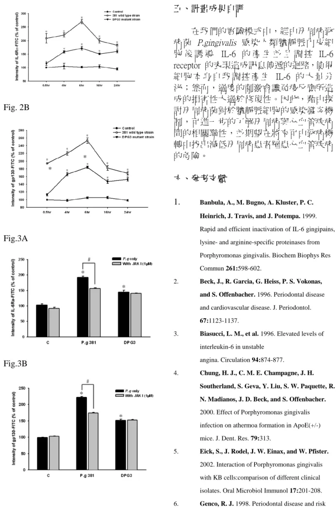 Fig. 2A Fig. 2B Fig.3A Fig.3B 五、計畫成果自評 在我們的實驗模式中，經由牙周病致病菌 P.gingivalis 感染人類臍靜脈內皮細胞 後 誘 導 IL-6 的 產 生 並 且 調 控 IL-6receptor 的表現造成訊息傳遞的迴路，使得細 胞 本 身 自 我 調 控 產 生 IL-6 的 大 量分泌；然而，過度的刺激會讓免疫反應所造成的損害性大過於修復性。因此，藉由探討牙周病菌對於臍靜脈細胞的感染發炎機制，可進一步的了解牙周病與心血管疾病間的相關聯性，並期望在將來可由致病