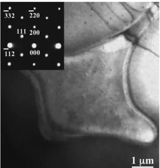 Fig. 2. An electron micrograph of the alloy that had been SHT at 1300 ◦ C for 5 min.