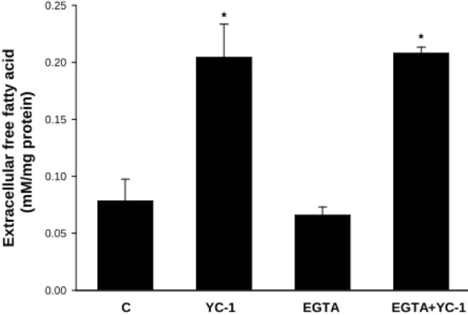 Fig. 3. EGTA 對 YC-1 所誘導的脂質分解之影響。含有脂肪的細胞經過 YC-1 或 EGTA 加上 YC-1 作用後，收集培養液做為分析細胞外脂肪酸的含量。C, control。