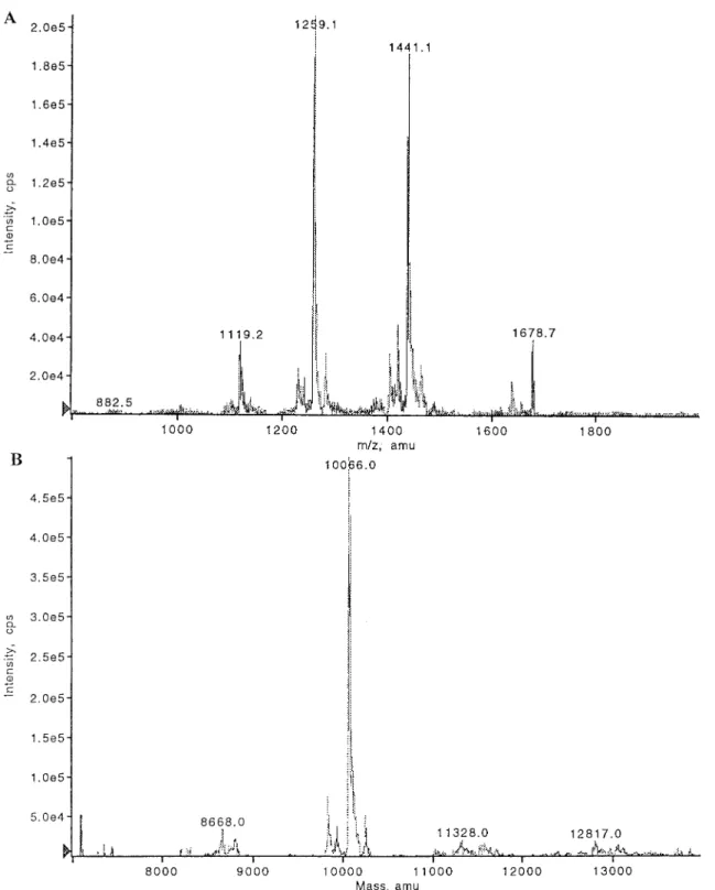 Fig. 4. Electrospray mass spectrum of the SMI puri®ed from porcine prostate gland. A: Original spectrum