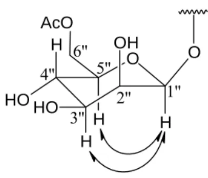 Fig. 1. Key NOESY correlations of 6′′-O-acetyl-β-mannopyranoside in 1. 