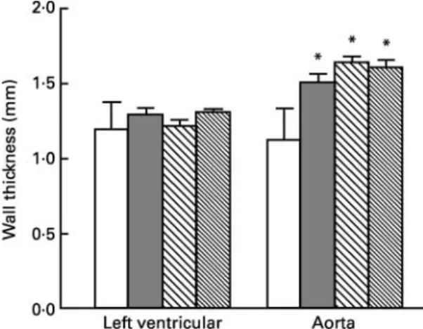 Fig. 4. Left ventricular and aorta wall thickness of rats fed different diets (eight rats per group)