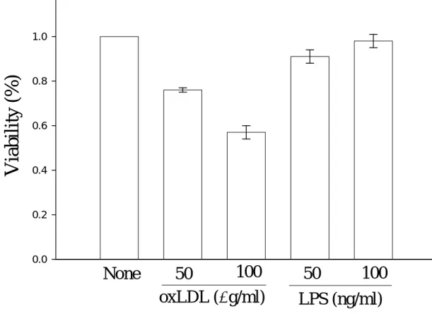 Figure 1. Effects of oxidized LDL on primary rat microglial cell viability. 