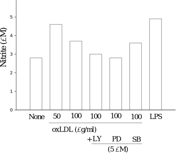 Figure 3. Effect of various inhibitors on air-catalyzed LDL-induced nitrite  production in rat microglial cells