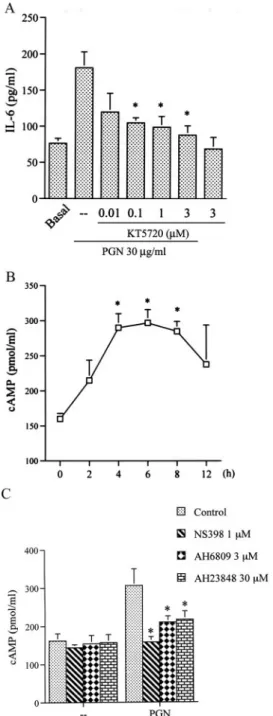 FIGURE 4. Involvement of cAMP formation and PKA activation in PGN-mediated IL-6 release in RAW 264.7 macrophages