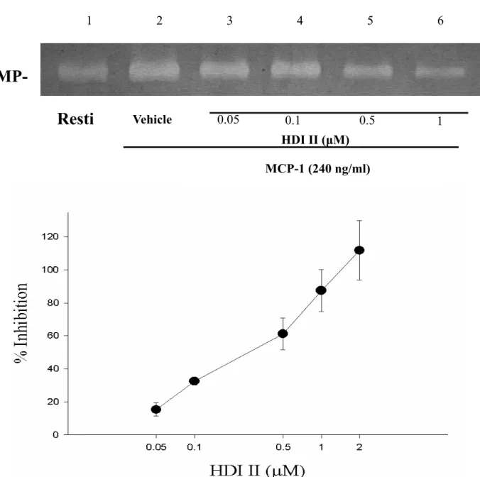 Figure 4 Effects of HDI II on MCP-1 induced enzymatic activity of matrix  metalloproteinase-9 (MMP-9) in THP-1 cells