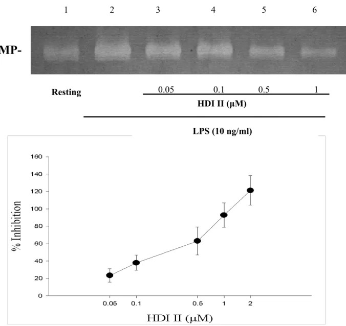 Figure 6 Effects of HDI II on LPS-induced enzymatic activity of matrix metalloproteinase-9  (MMP-9) in THP-1 cells