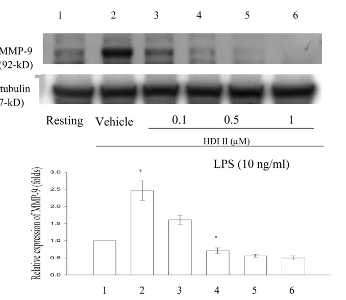 Figure 10 Effect of HDI II on LPS-induced production of matrix metalloproteinase-9  (MMP-9) from THP-1 cells