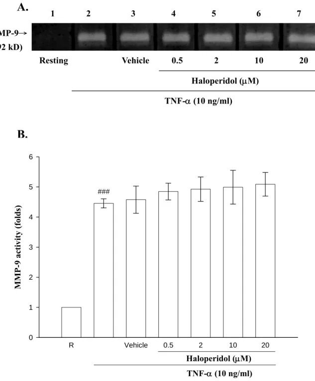 Figure 4. Evaluation of the direct effect of haloperidol on MMP-9 enzymatic activity by  conditioned medium from TNF-α-treated cells