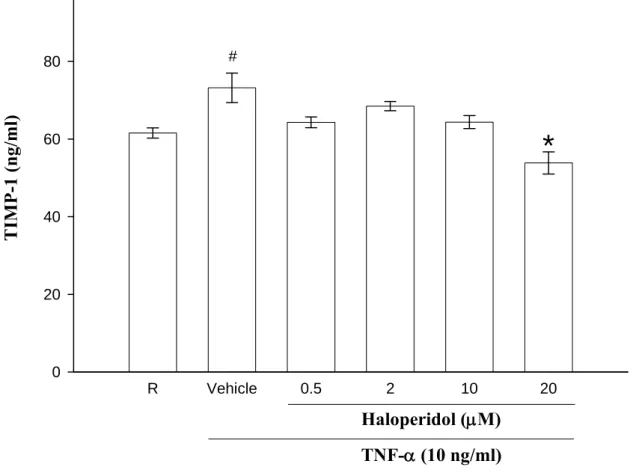 Figure 6. Effect of haloperidol on TNF-α-induced production of  tissue inhibitor of  metalloproteinase-1 (TIMP-1) from conditioned medium of THP-1 cells