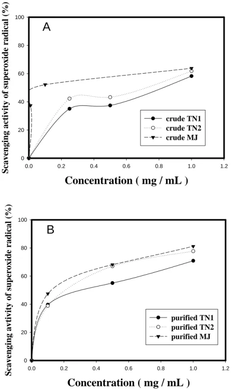 Figure 3. The scavenging activity of crude mucilage (CM) (A) and partially purified mucilage (PPM) (B)  of TN1, TN2, and MJ yam cultivars against superoxide radical