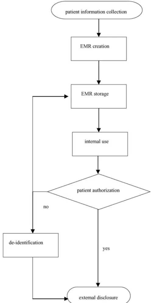 Fig. 1 – The electronic medical record (EMR) process deﬁned in the guidelines.