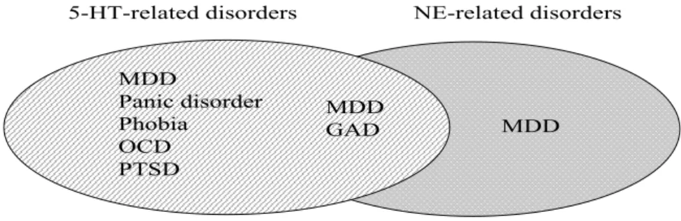 Figure 2 lists the relationship of 5-HT/NE and depressive/anxiety disorders. An 