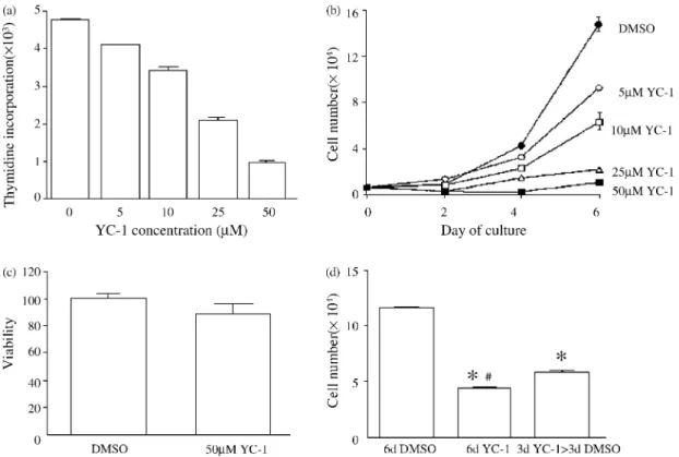 Fig. 1d , treatment of HUVEC with 25 mM YC-1 for 6 days