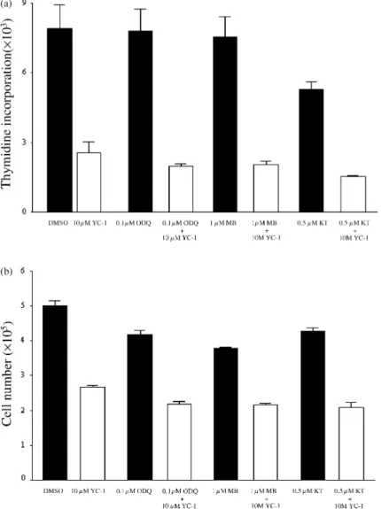 Fig. 6. Involvement of cyclic GMP-pathway on the YC-1-induced inhibition of HUVEC proliferation