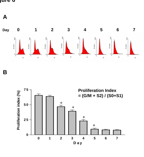 Figure 6  A B 0 1 2 3 4 5 6 702 55 07 5 D a yProliferation index (%)** * Proliferation Index               = (G/M + S2) / (S0+S1)*1Day  023456 7