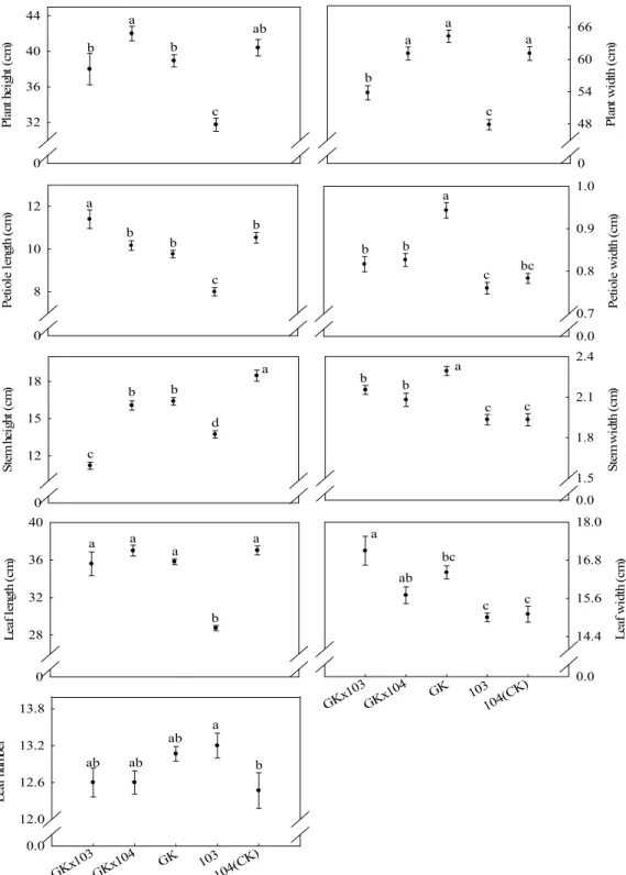 Fig. 4. Comparison of the traits among F 1  progenies from transgenic ipt broccoli and non-transgenic broccoli 