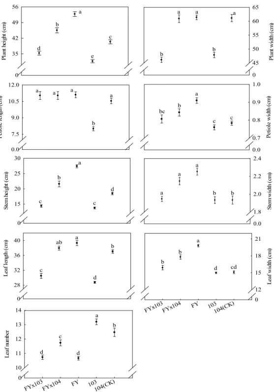Fig. 1. Comparison of the traits among F 1  progenies from transgenic ipt broccoli and non-transgenic broccoli 