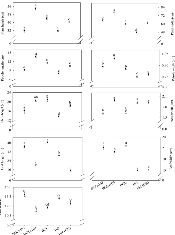 Fig. 2. Comparison of the traits among F 1  progenies from transgenic ipt broccoli and non-transgenic broccoli 