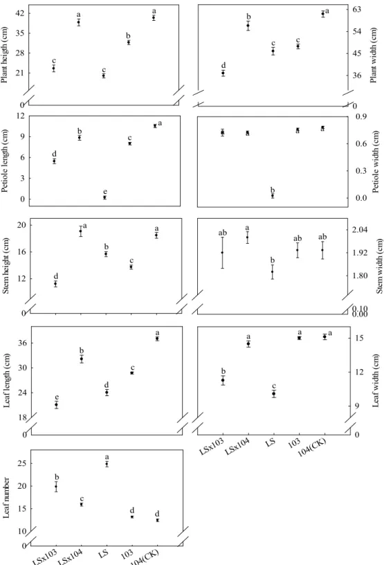 Fig. 3. Comparison of the traits among F 1  progenies from transgenic ipt broccoli and non-transgenic broccoli 