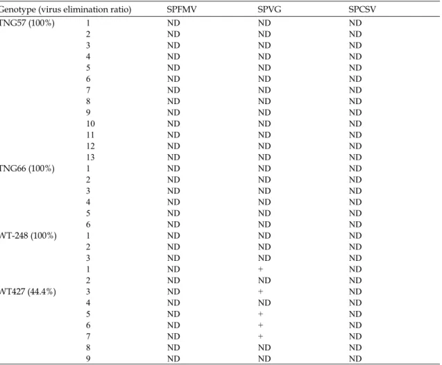 Table 3. Effects of virus elimination in plantlets of 4 varieties obtained from cryopreservation by  encapsulation–vitrification