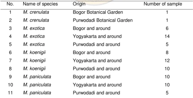 Table  1.  Name  of  live  collection  species  of  Murraya   spp  for  morphological  and  molecular  (DNA isolation) characterization