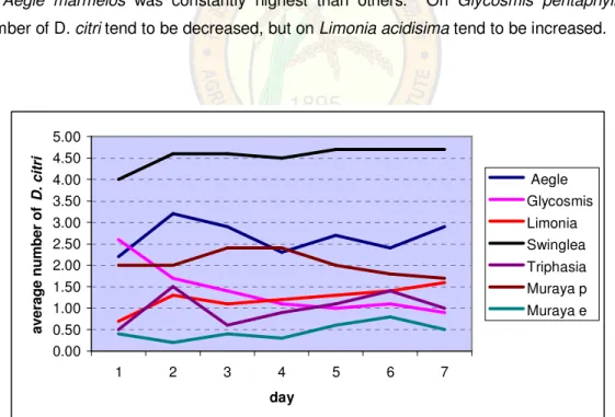 Figure 1. The fluctuation number of  D. citri  adult stay on citrus relatives which is  considered as a feeding site 