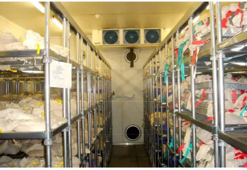 Figure 5. Controlled environment facility for germplasm seed drying at ICRISAT 