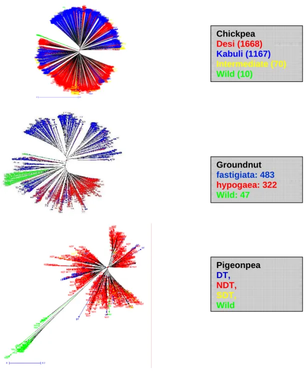 Figure 9. Tree diagrams of genotyping composite sets –  