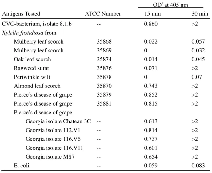 Table 1. Serological relatedness between the CVC-bacterium and strains of Xylella  fastidiosa 
