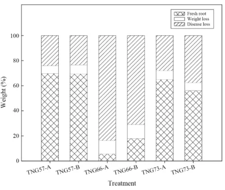 Fig. 6. Changes in fresh weights of different cultivars of sweet potato (‘TNG 57’, ‘TNG 66’ and ‘TNG 73’) with washing  treatment after storage