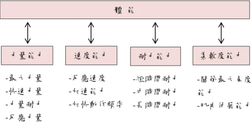 圖 2- 2 體能範圍及其個別顯現型式  資料來源:Martin et al,1991；李士鴻，2014  宋定衡(2003)的研究發現，良好基本動作為基礎的來開始，是打好高爾夫的 主要目標之一，這些基本動作全適用於所有技術層次，基本的揮桿動作可細分如 下：擊球準備、上桿、揮桿頂點、下桿、擊球時、送桿、收桿等七個連續動作。 揮桿技術作為高爾夫球運動的基本技術，從運動生物力學的角度來看，高爾夫球 運動是一種很複雜的多關節運動，它需要的是高度的穩定性與準確度(李明哲， 1994)。Davidson and Te