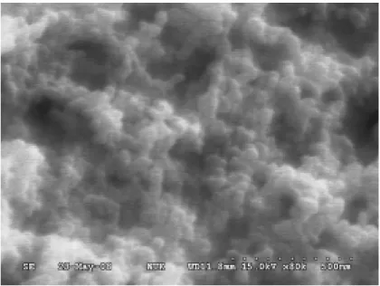 Figure 1 shows the SEM image of the Cu nanoparticles. It was found that Cu nanoparticles  agglomerated with an average diameter on the order of 70 nm