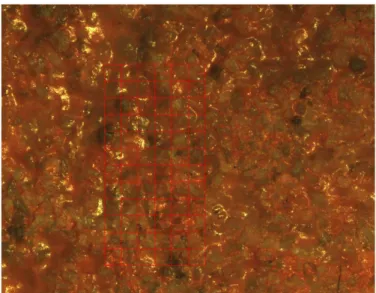 Figure 3  The reference image of weak sandstone used in DIC analysis. 