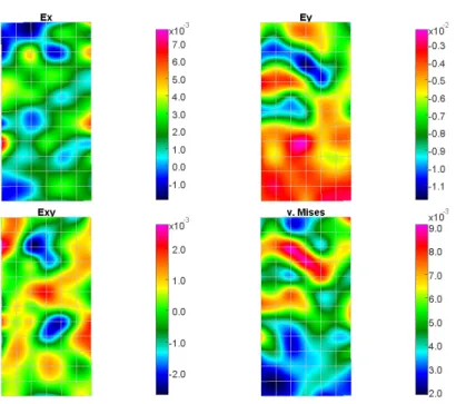 Figure 5 (continued) Full-field plastic strain patterns of weak sandstone. 