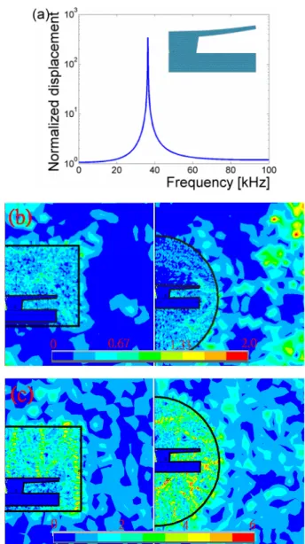 Fig.  3.    (a)  Numerical  simulation   of  the  internal  micro-device,  the  first modal   displacement,  and   the   dominant   frequency;  (b)   Sum   of   vector displacements related to unit external pressure  and determined by  modal analysis   whe