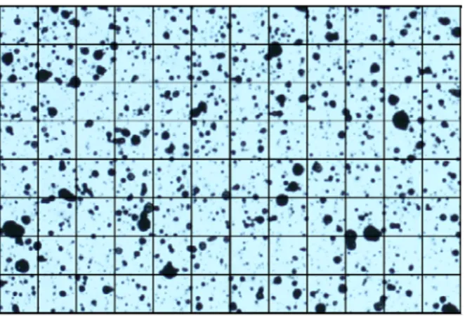 Fig. 2 Schematic Drawing of Sub-images (Grids) on Surface (Tung  et al., 2005) 