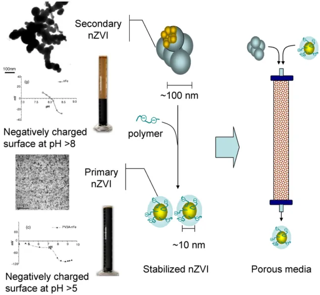 Fig. 1. Concepts of nZVI stability and transportability.