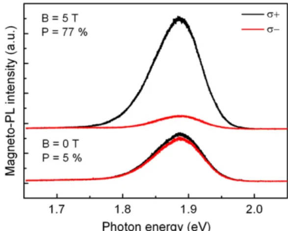 Fig. 2. Plot of circular polarization as a function of magnetic ﬁeld at 10 K (circle)