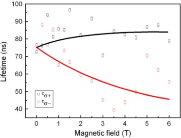 Fig. 4. Lifetime as a function of magnetic ﬁeld. The squares represent s + and circles