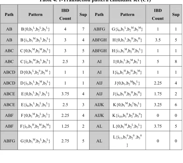 Table 5. Large 1-Transaction Pattern Set (T1)