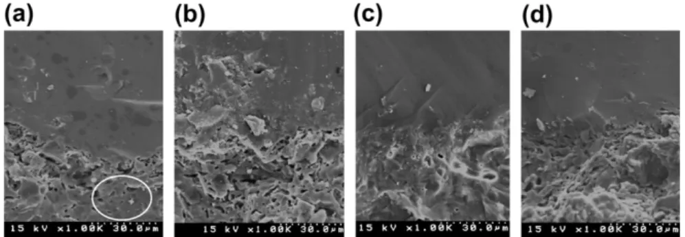 Fig. 9. Pictures of interface between glaze and tile bodies for ash tiles with applications of diﬀerent colorants at glaze concentration of 0.06 g/cm 2 
