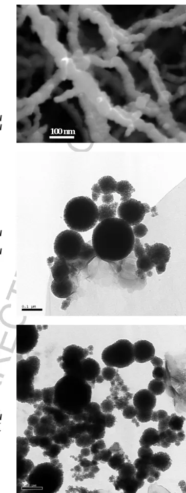 Fig. 1. EM images of nZVI aggregates. (a) SEM for  Type I, (b) TEM for Type II and (c) TEM for  Type III