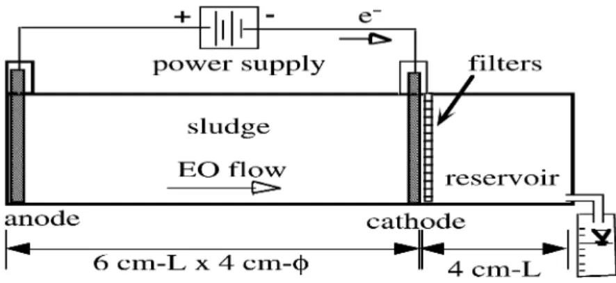 Fig. 1. The schematic of EK apparatus.