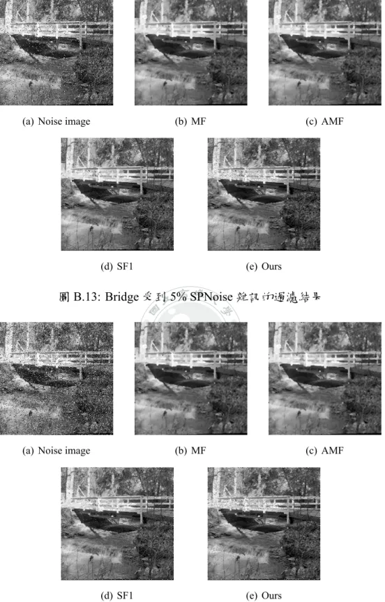 圖 B.14: Bridge 受到 10% SPNoise 雜訊的過濾結果