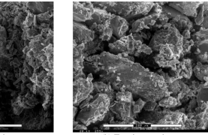 Figure 5    Outlook of fractured grains from dry sandstone after loading. 
