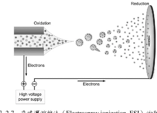 圖  2-7    電噴灑游離法（Electrospray ionization, ESI）的原理 38