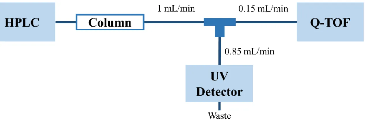 圖  3-1    HPLC-UV Detector 並聯 Q-TOF 裝置圖 