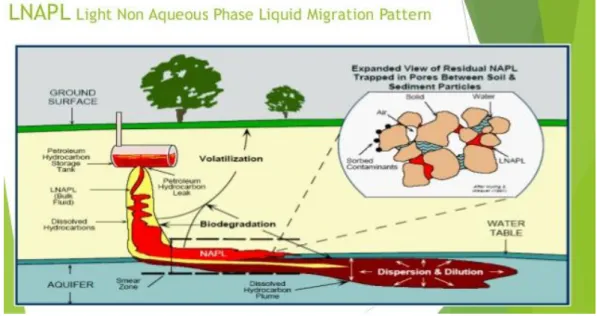 圖  2. 2 石油碳氫化合物(TPHs)之污染形成機制  (US EPA, 1999) 